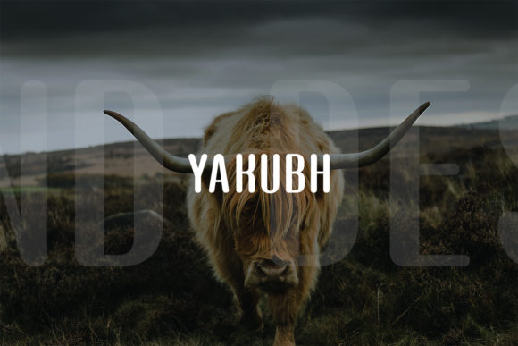 Yakubh Font for Modern Branding and Creative Websites